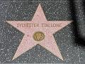 _Hollywood P1020196